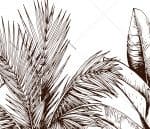 Papier Peint Secret Jungle